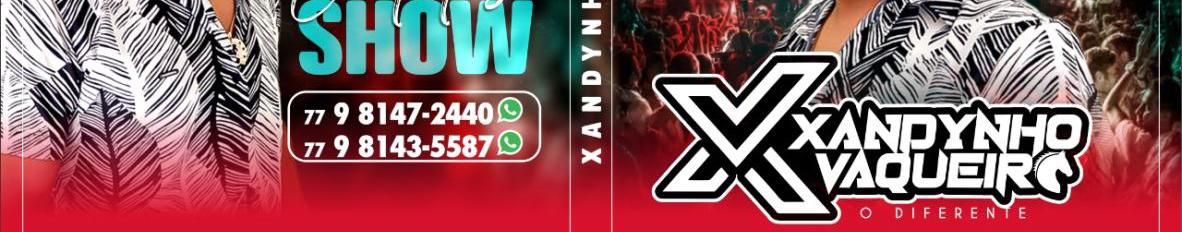 Imagem de capa de Xandynho Vaqueiro